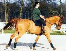 Pour inverser et enchaîner des courbes serrées, il faut :