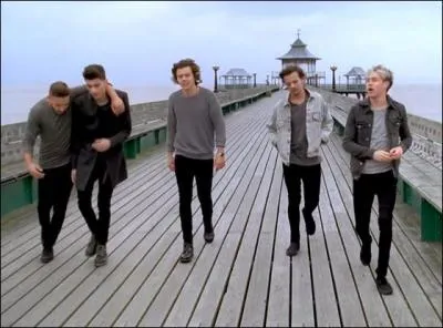 De quel clip des One Direction provient cette image ?