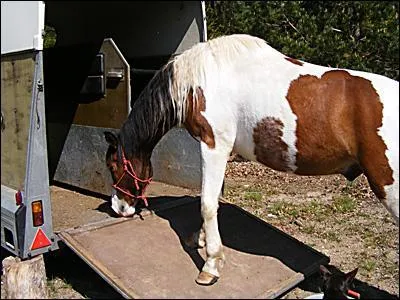 Quelle liste ne contient QUE des protections de transport qui existent?