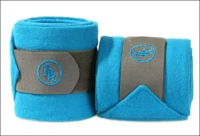 Quelles parties protègent les bande de polo ?