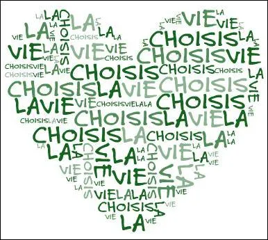 Nous avons hésité un moment entre un divorce ou des vacances. Nous avons pensé que des vacances aux Bermudes, c'est fini en deux semaines ...