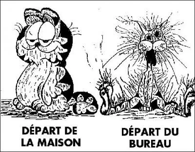 Rien de tel que des vacances ratées ...