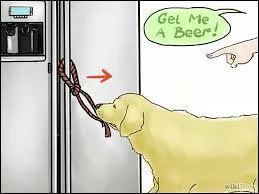 Comment dit-on apporter ?