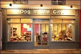 Agrandissez l'image pour avoir une idée de la chanson et de son interprète !