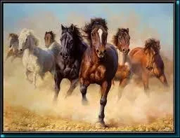 Vous cherchez un groupe anglo-saxon qui a créé cette magnifique chanson, illustrée par l'image.