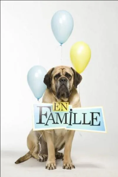 Comment s'appelle le chien de la série ?