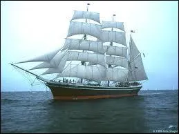 Je suis un navire de transport de marchandises utilisé pour ma vitesse grâce à mon profil élancé et à ma grande surface de voilure, je suis :