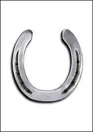 A quoi sert le fer à cheval ?
