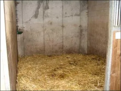 Laquelle n'est pas une litière ?