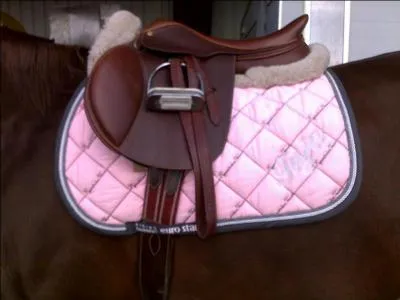 Pourquoi met-on un tapis sous la selle ?