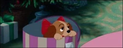 Qui est ce petit chiot ?