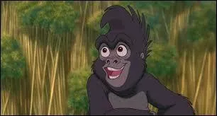 Qui est ce gorille ?