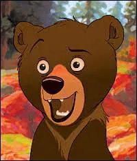 Comment s'appelle ce petit ours ?
