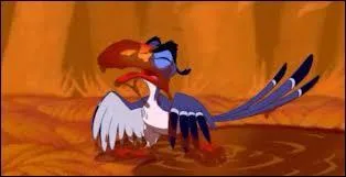 Quel est le nom de ce pauvre oiseau rempli de boue ?