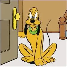 Quel est le nom du chien de Mickey ?