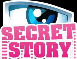 Quel secret ne fait pas partie de Secret Story 8 ?