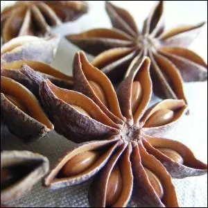 L'anis étoilé est-il synonyme de canneberge ?