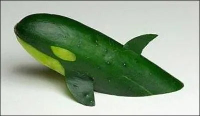 Et cette photo comprend ...et ....