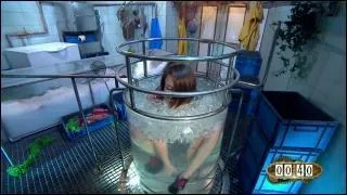 Cette épreuve se nomme la chambre froide. Mais quel est le but de ce jeu ?