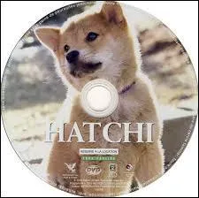 Quelle est la race du chien qui a joué dans "HATCHI" ?