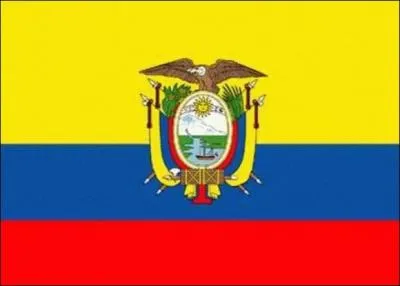 Quel pays a remporté la petite finale ?