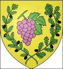 Voici le blason de la commune Héraultaise de Saint-Jean-de-la-Blaquière. Elle se situe en région ...
