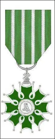 Le 23 janvier 2011, il est décoré de l'insigne de Chevalier dans l'Ordre des Arts et Lettres par Frédéric Mitterrand, ministre de la Culture et de la Communication. Vrai ou faux ?