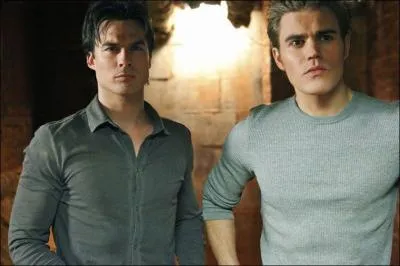 De quel pays Stefan et Damon sont-ils originaires ?