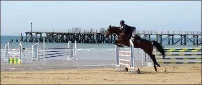 Quelle est cette discipline ?