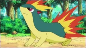 Lors de l'épisode "Hoso 17" (épisode spécial non diffusé en France), contre quel groupe de Pokémon le Héricendre d'Aurore évolue-t-il en Feurisson et apprend-il, par la même occasion, l'attaque Éruption ?