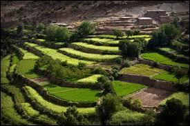 Quelle vallée sud marocaine est aussi appelée ''Vallée de Roses'' ?