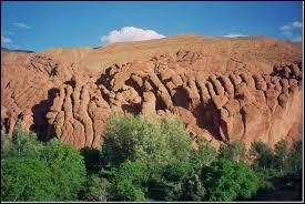 Dans quelle vallée de l'Atlas se trouvent les falaises surnommées ''les doigts de singe'' ?
