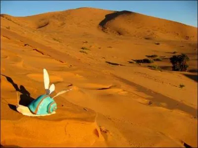 Que signifie en français le mot arabe marocain ''baboush'' ?