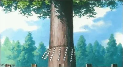 Dans quel manga voit-on cet arbre ?