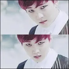 Combien pèse-t-il ?