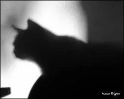 "A pas vouloir vieillir on meurt avant les autres". Qui est l'auteur de cette citation ? Indice : Mistral gagnant.