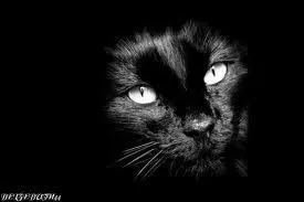 "La médecine fait mourir plus longtemps". Qui est l'auteur de cette citation ? Indice : Vies parallèles des hommes illustres.