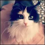 Comment s'appelle son chat ?