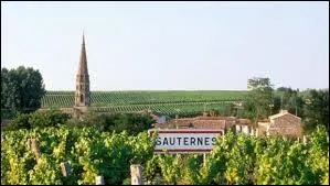 Nous partons à la découverte du village viticole de Sauternes. Pour cela, nous devons nous rendre en Aquitaine dans le département ...