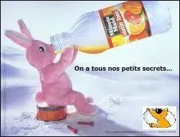 D'après la photo, de quel jus d'orange le lapin Duracell tire-t-il son énergie ?