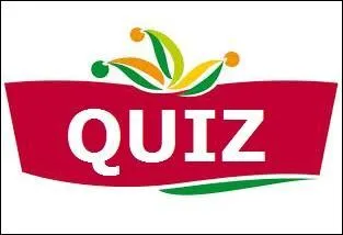 A quelle marque ce logo explicite appartient-il ?