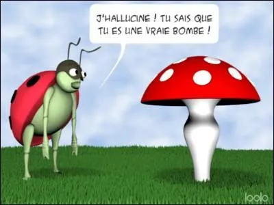 Voir une ... s'envoler porte chance !