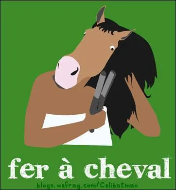 Vous voulez accrocher un fer à cheval sur la porte. Attention ! Pour qu'il vous porte chance ...