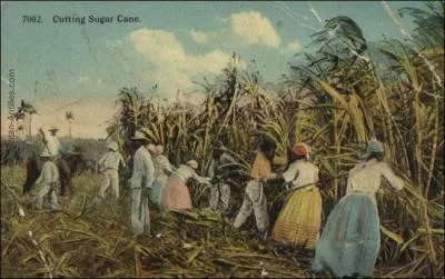 Mettre du ... à la place du sel, serait l'arrivée d'une bonne nouvelle !