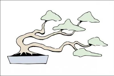 Voici un autre style, lui aussi assez classique, mais plus spectaculaire. Comment le nomme-t-on ?