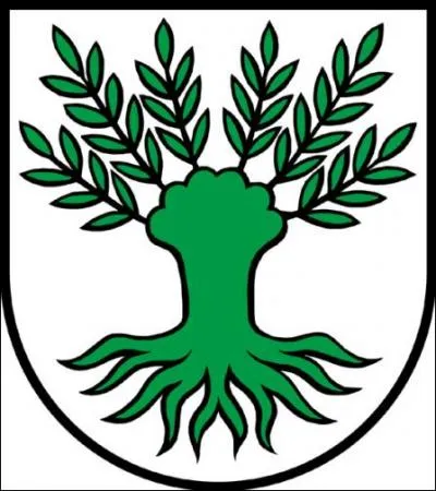 Idée reçue 2 > « Les bonsaïs coûtent chers ». Vrai ou faux ?