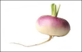 Quand un film est mauvais, on dit que c'est ...