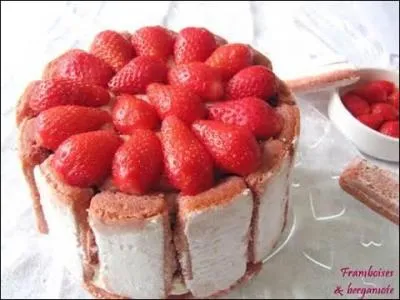 Quel est le nom de ce gâteau ?