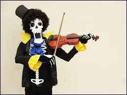 Quel est ce cosplay ?