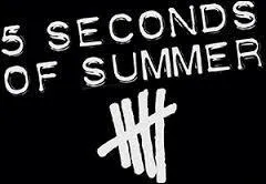 Les 5 Seconds of Summer sont amis avec...